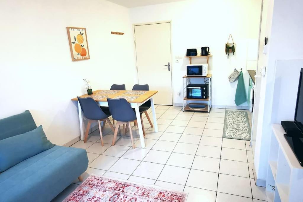 Grand Studio Lumineux Et Sa Terrasse Au Calme Тулуза Экстерьер фото