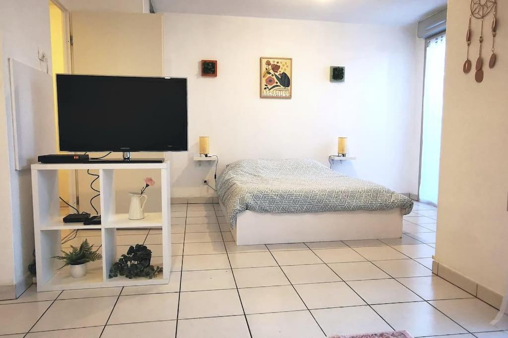 Grand Studio Lumineux Et Sa Terrasse Au Calme Тулуза Экстерьер фото