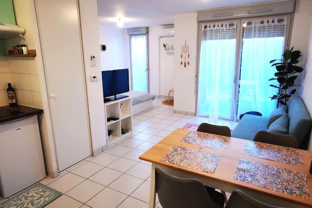 Grand Studio Lumineux Et Sa Terrasse Au Calme Тулуза Экстерьер фото