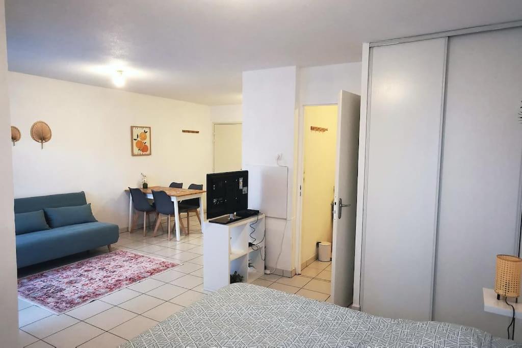 Grand Studio Lumineux Et Sa Terrasse Au Calme Тулуза Экстерьер фото