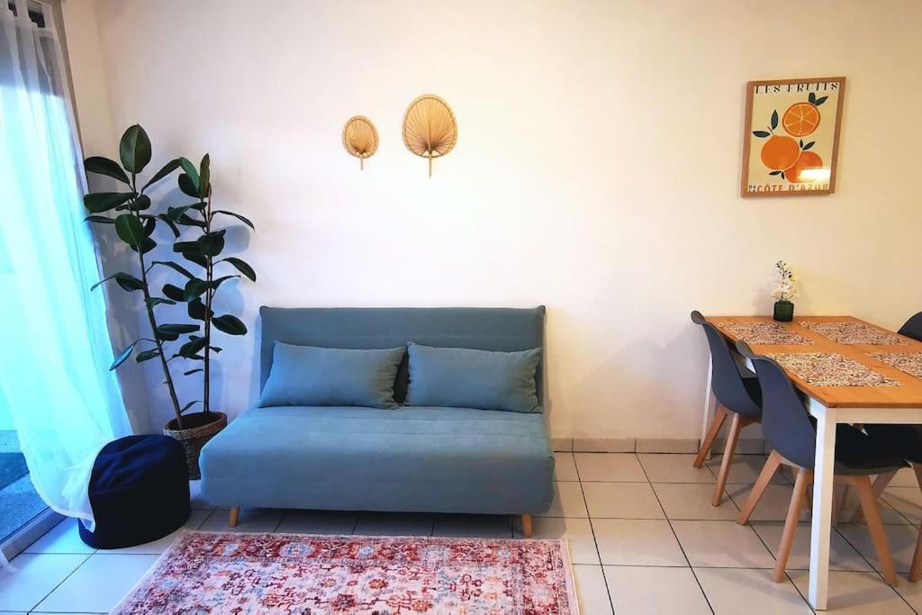 Grand Studio Lumineux Et Sa Terrasse Au Calme Тулуза Экстерьер фото