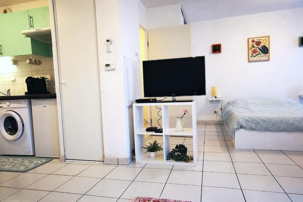 Grand Studio Lumineux Et Sa Terrasse Au Calme Тулуза Экстерьер фото